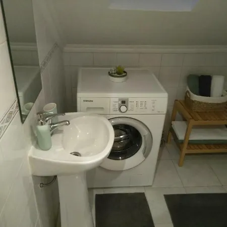 Apartment Cactus House